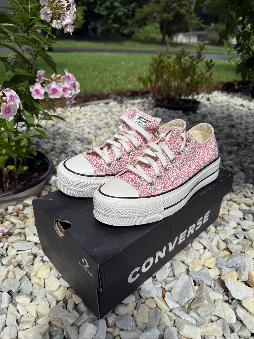 Converse Floral Low Top Sneakers in Pink and White
